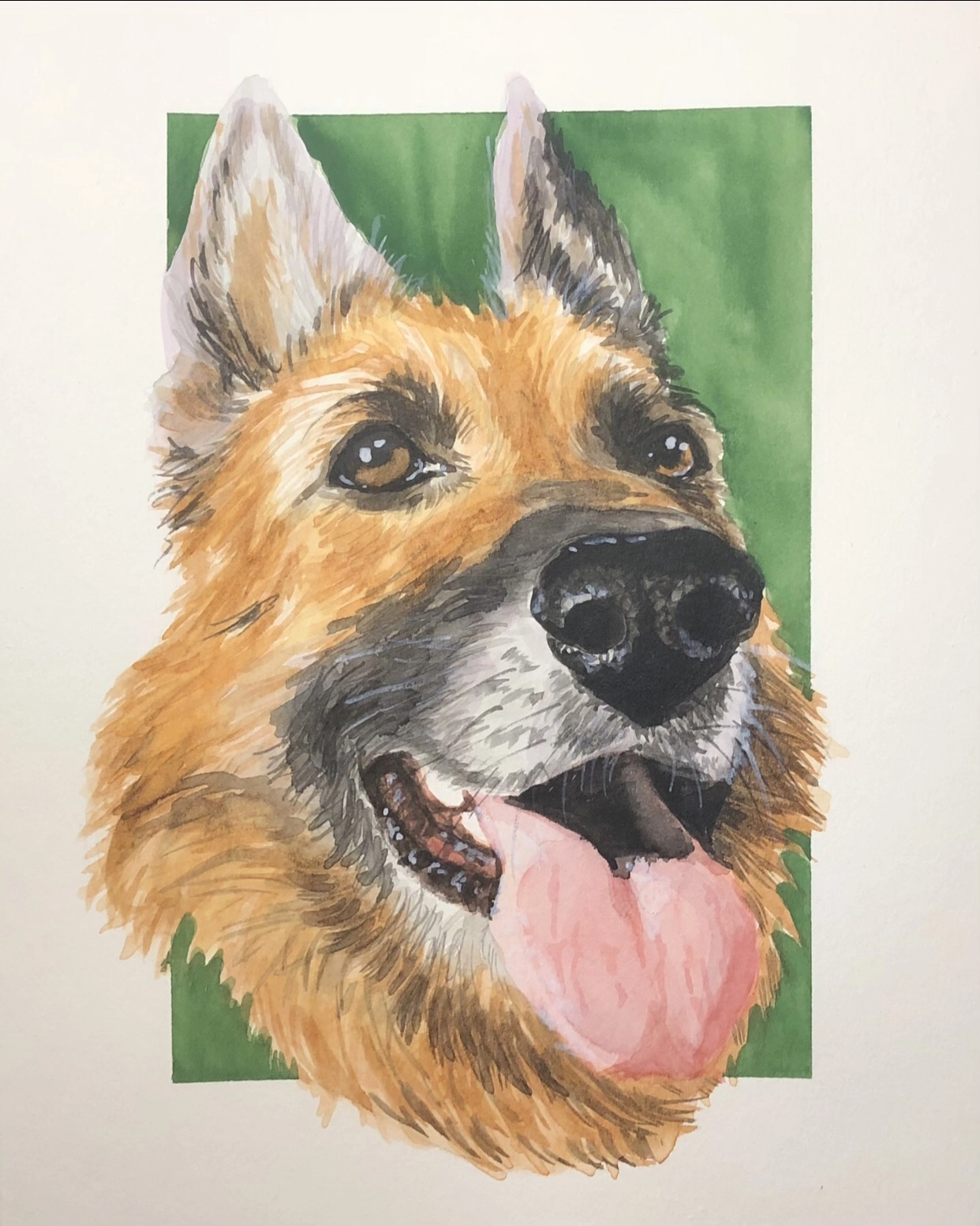 a watercolor painting of my german shepherd named cami