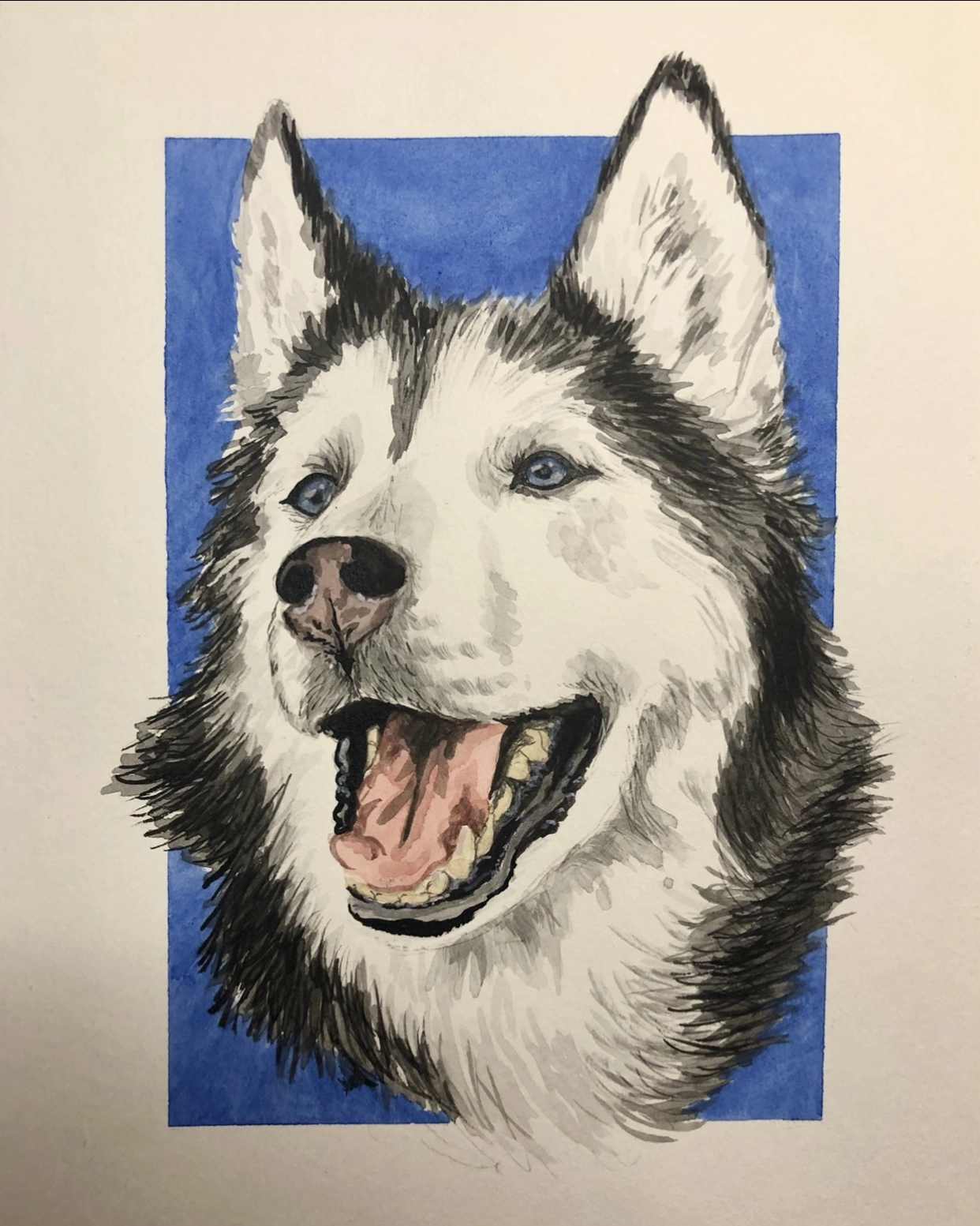 a watercolor painting of my husky named nanook